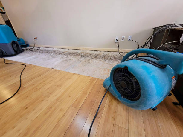 Professional Water Damage Repair technician working in Loyal, OK